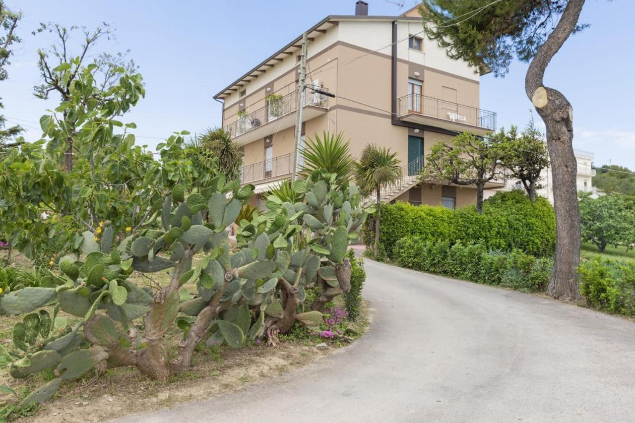 B&B Alba Sul Mare Guest House 마시냐노 외부 사진